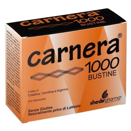 Carnera 1000