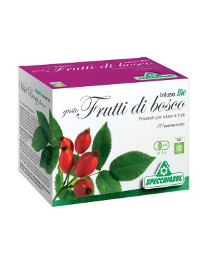 Frutti di Bosco
Infuso Bio
Preparato per infuso ai frutti
confezione da 20 bustine filtro