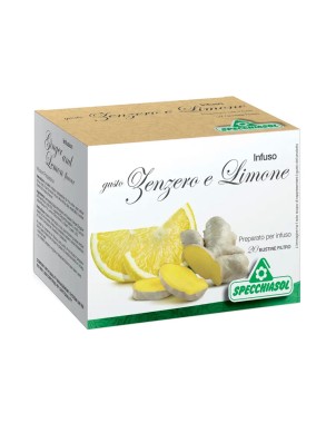 Zenzero e Limone Infuso 20 sacs filtrants