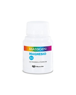 Massigen
Magnesio B6
con magnesio e vitamina B6
pilloliera da 60 capsule